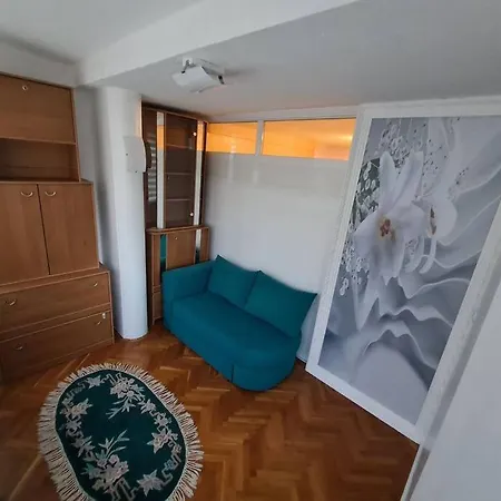 Papagajka * Sarajevo