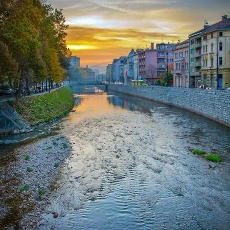 Papagajka *